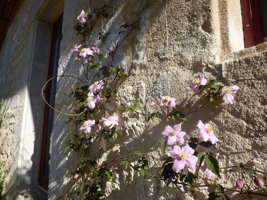 Au Mas De Gamet Bed & Breakfast Théminettes Exterior foto
